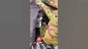 Свежо )
